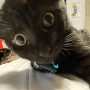 Meet your Posher, Jade